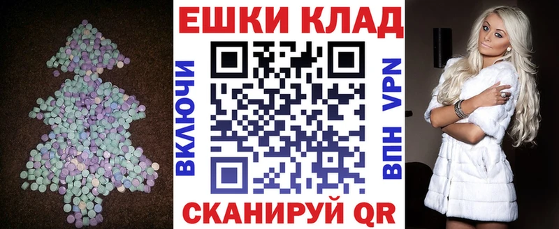 Ecstasy Philipp Plein  Боровичи 
