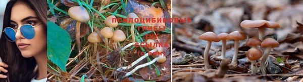 альфа пвп VHQ Белокуриха