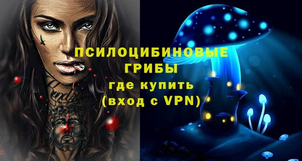 трава Беломорск