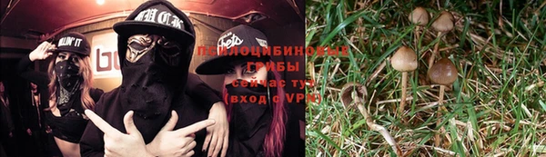 Альфа ПВП Богородицк