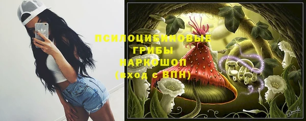 трава Беломорск