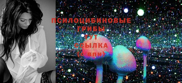 трава Беломорск