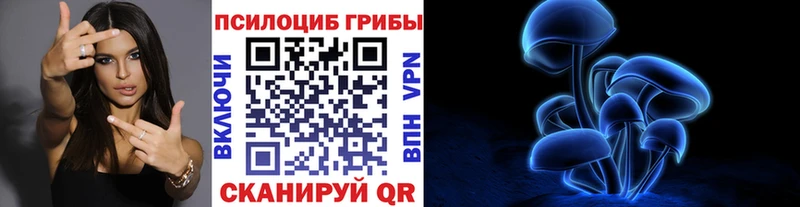 Псилоцибиновые грибы MAGIC MUSHROOMS  магазин продажи наркотиков  Боровичи 
