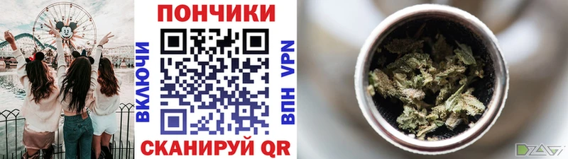 Каннабис индика  цена наркотик  Боровичи 